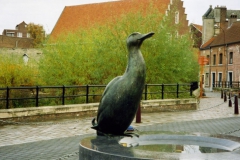 eenden_4