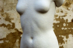 steen_1