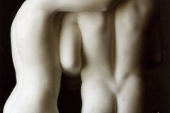 steen_3
