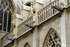St_pieters_leuven