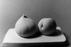 vg_steen_2